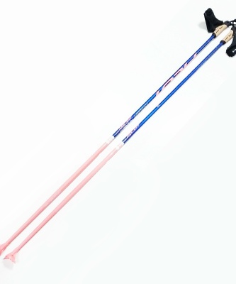 Лыжные палки Pilot Racer HM Top Speed 1.0 (100% Carbon)