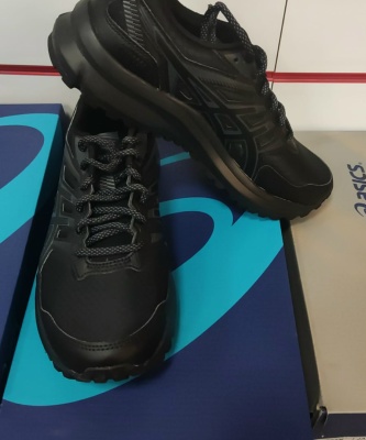 Кроссовки Asics TRAIL SCOUT 2