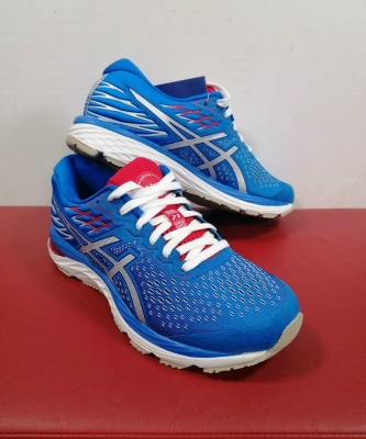 Кроссовки Asics Gel Cumulus 21