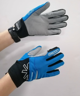 Лыжные перчатки SKI GO Lady Thermo Blue